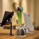 Hotel Moselhotel Weinhaus Simon 'sauna'restaurant'eladesaeule Wintrich