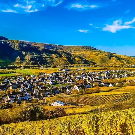 Moselhotel Weinhaus Simon 'sauna'restaurant'eladesaeule Otel Wintrich