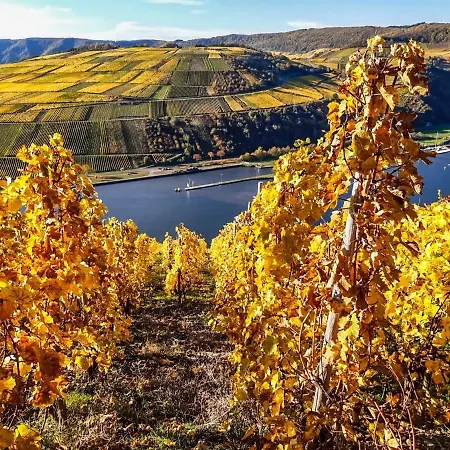 Otel Moselhotel Weinhaus Simon 'sauna'restaurant'eladesaeule