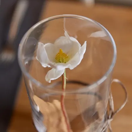 Moselhotel Weinhaus Simon 'sauna'restaurant'eladesaeule Hotel Wintrich