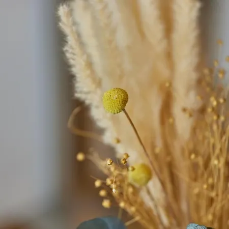 Moselhotel Weinhaus Simon 'sauna'restaurant'eladesaeule Wintrich