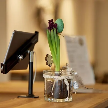 Отель Moselhotel Weinhaus Simon 'sauna'restaurant'eladesaeule Винтрих