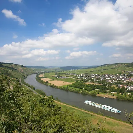 Otel Moselhotel Weinhaus Simon 'sauna'restaurant'eladesaeule 3*