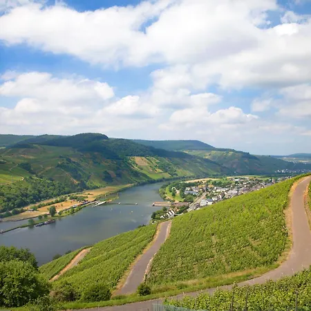 Otel Moselhotel Weinhaus Simon 'sauna'restaurant'eladesaeule Wintrich