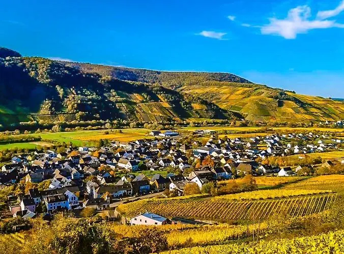 Moselhotel Weinhaus Simon 'sauna'restaurant'eladesaeule Hotel Wintrich