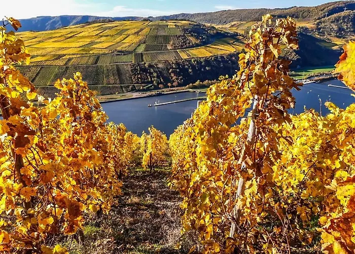 Hotel Moselhotel Weinhaus Simon 'sauna'restaurant'eladesaeule