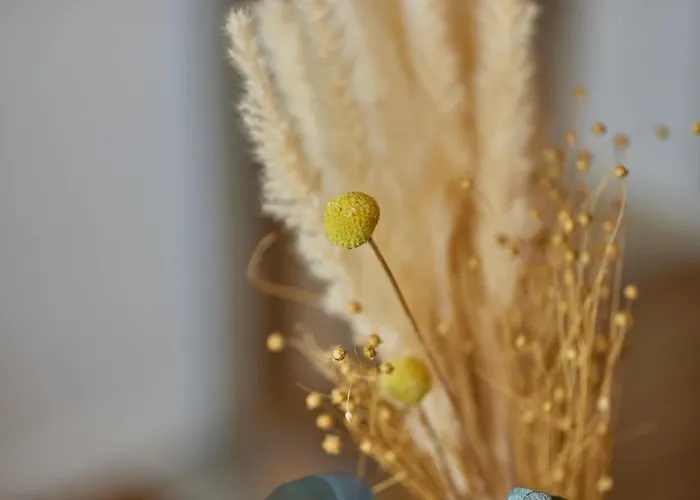 Moselhotel Weinhaus Simon Wintrich