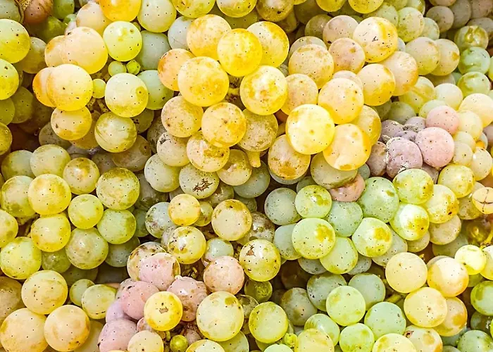 Moselhotel Weinhaus Simon 3* Wintrich