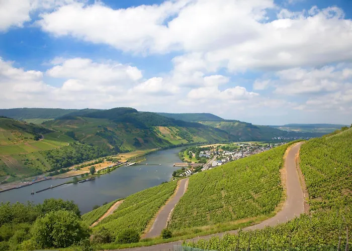 Hotel Moselhotel Weinhaus Simon Wintrich